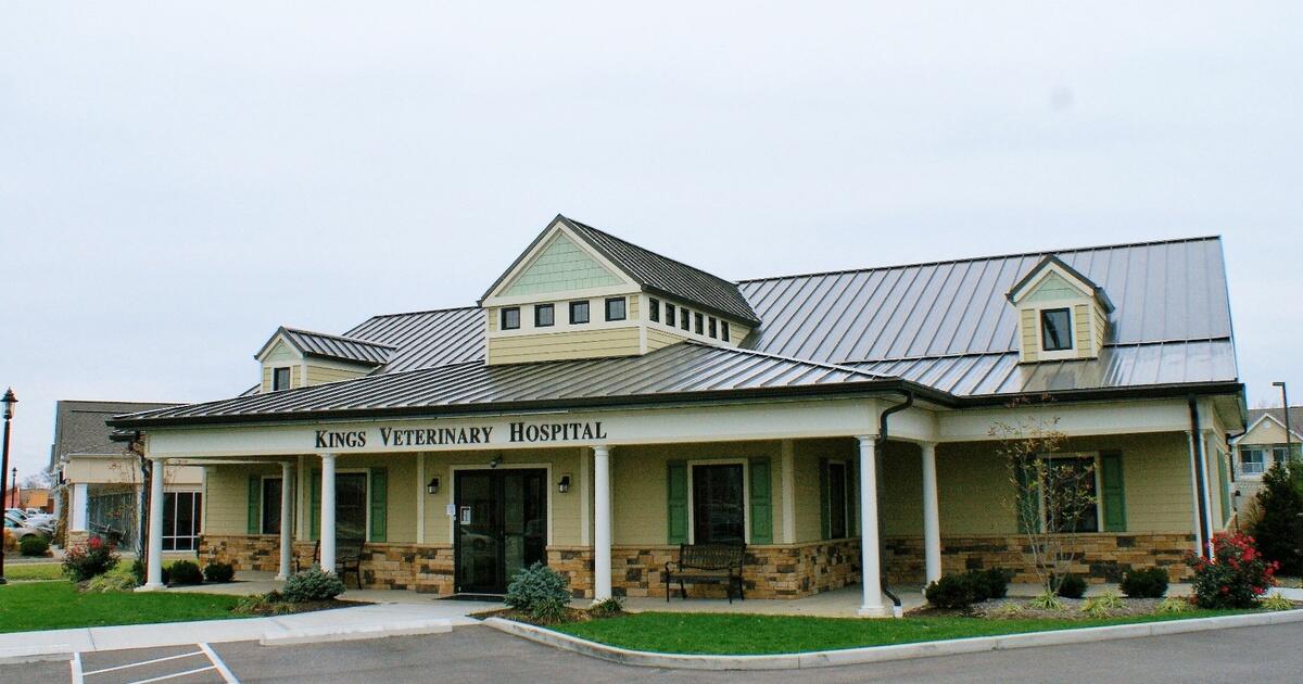 Veterinary Clinic in Loveland, OH Kings Veterinary Hospital